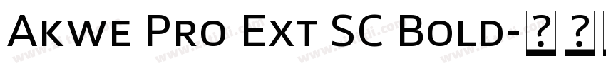 Akwe Pro Ext SC Bold字体转换
